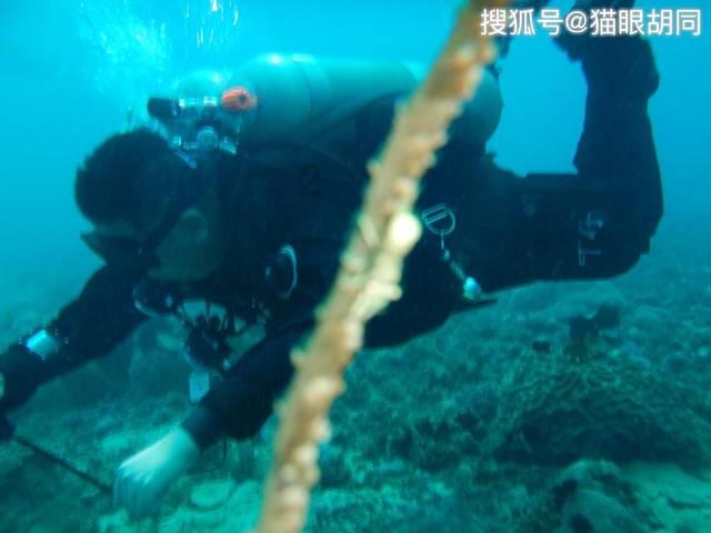 河南省2023年下半年外贸中小企业展会补贴申报